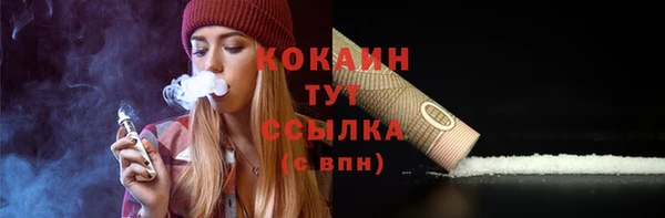прущие грибы Красноперекопск