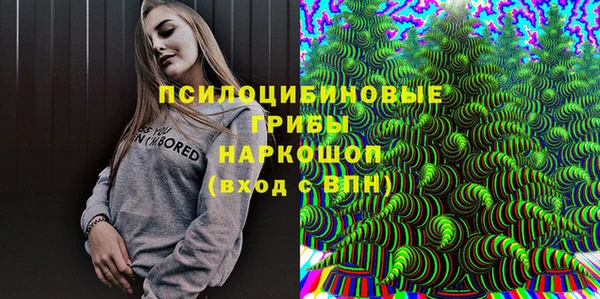 прущие грибы Красноперекопск