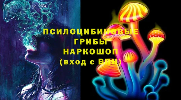 прущие грибы Красноперекопск