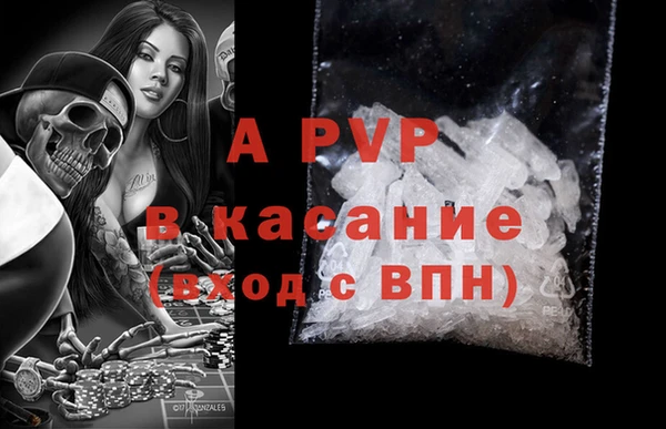 прущие грибы Красноперекопск