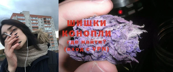 прущие грибы Красноперекопск
