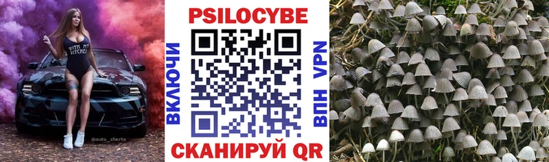 Купить  Ирбит  Галлюциногенные грибы Cubensis 